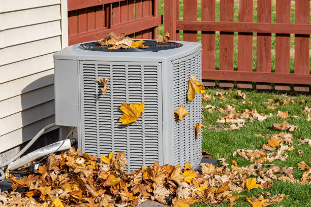 Best 24/7 HVAC repair  in Mlstadt, IL